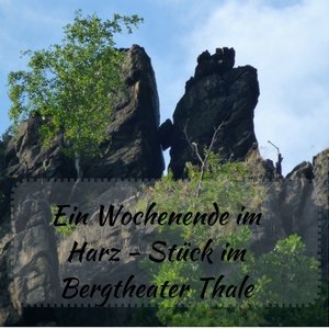 Das Bild zeigt ein Felsgebilde im Harz