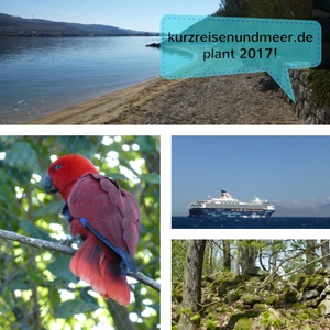 Das Bild zeigt verschiedene Fotos meiner letzten Reisen z.B. einen Papagei, Mein Schiff, einen Strand und einen Blick in den Harzer Wald