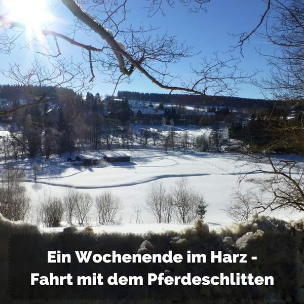 Das Bild zeigt einen Blick in ein verschneites Tal