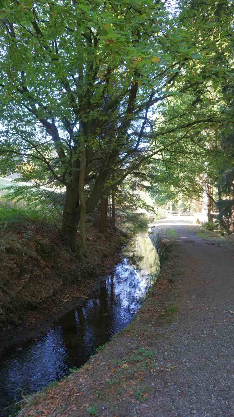 Oberharzer Wasserregal - einer der vielen Gräben