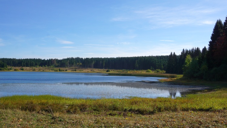 Oberharzer Wasserregal - Hirschtaler Teich