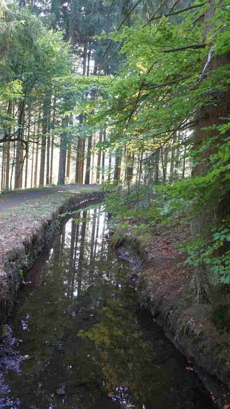 Oberharzer Wasserregal - Huttaler Graben