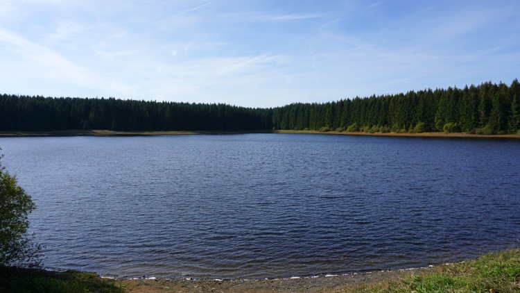 Oberharzer Wasserregal - der Jägersbleker Teich