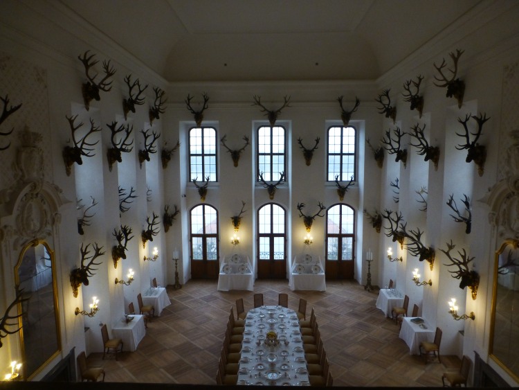 Saal mit Geweihen im Schloss Moritzburg