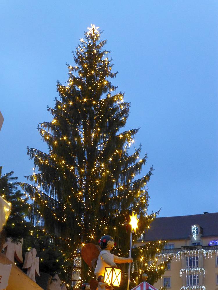 Weihnachtsbaum auf dem Dresdner Striezelmarkt