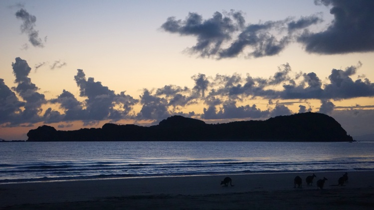 Cape Hillsborough National Park