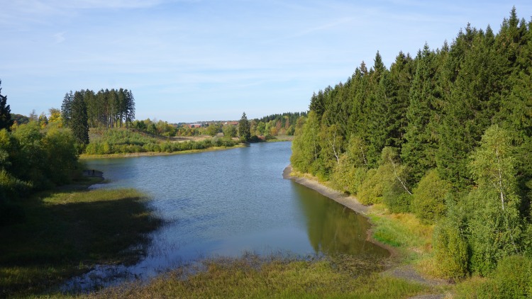 Teich im Oberharzer Wasserregal