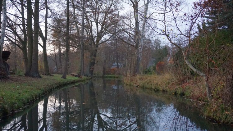 Kanal im Spreewald